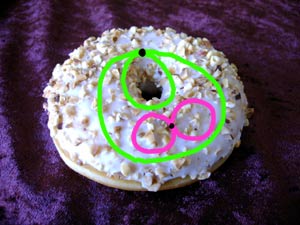 Donut mit zwie homotopen Wegen.